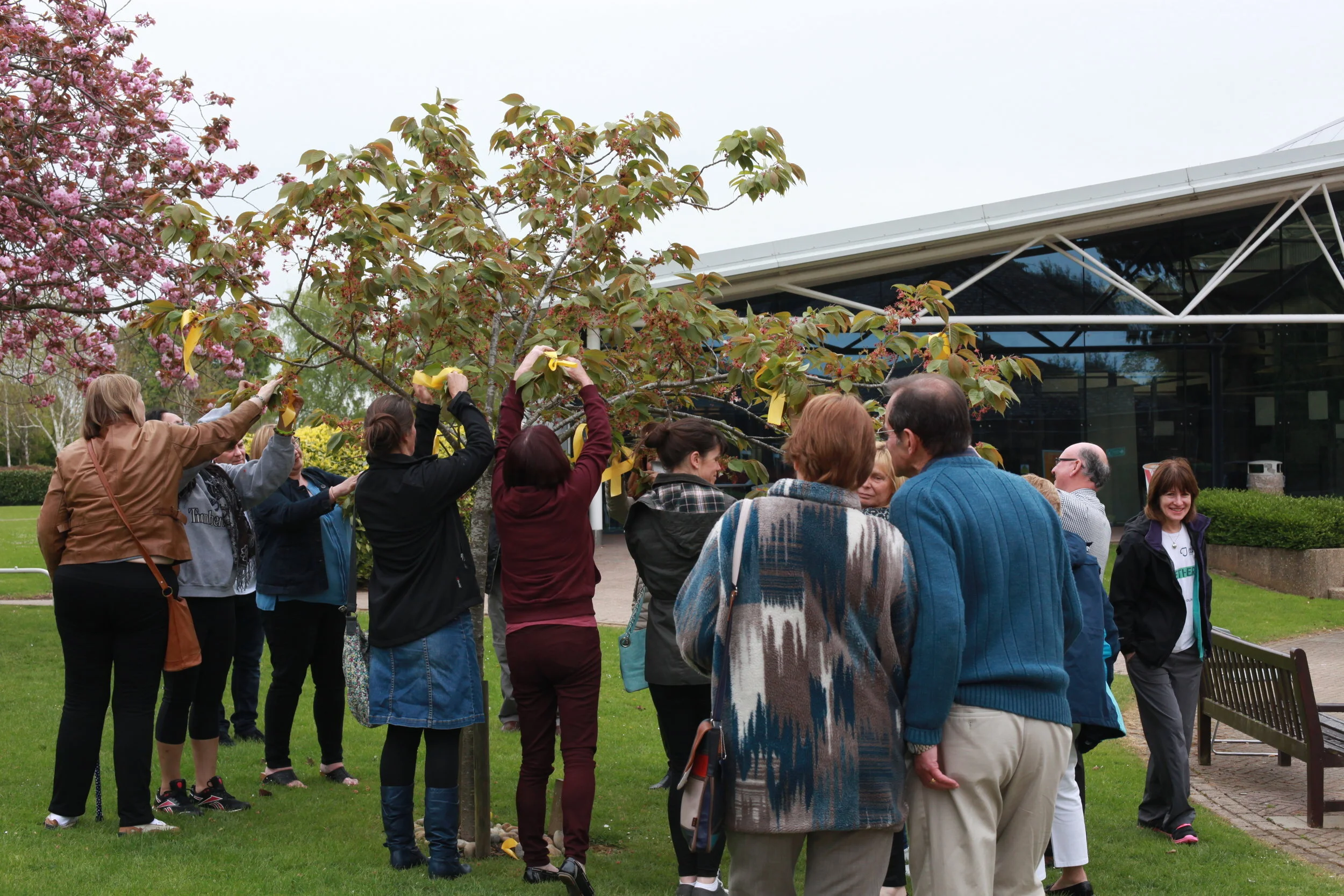 Memorial Tree 2.jpeg