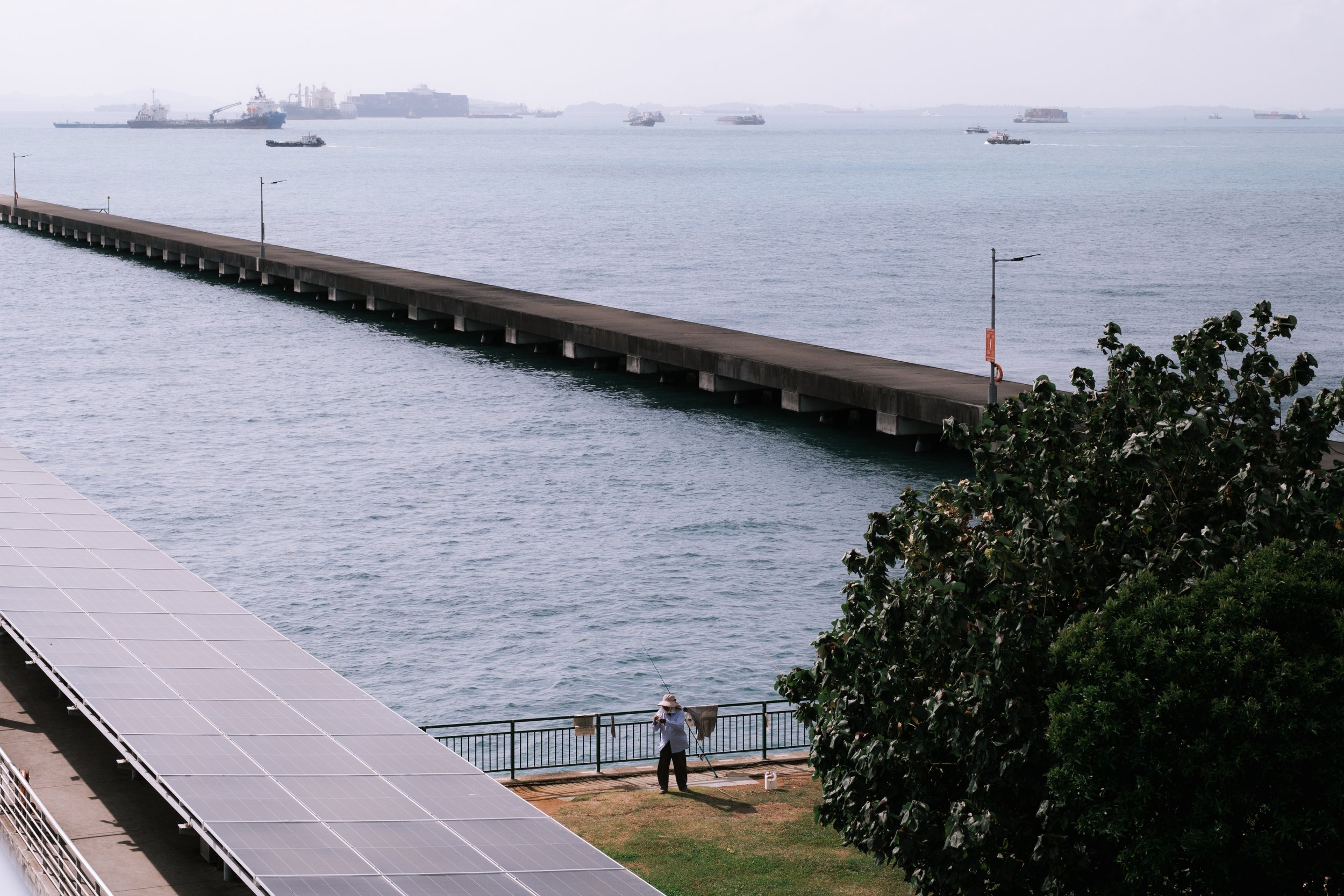 Thirty minutes at the pier