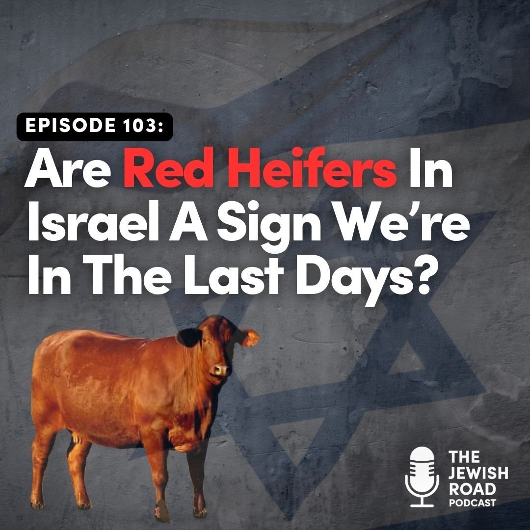 In this episode of the Jewish Road Podcast, Matt and Ron Davis discuss the topic of the red heifer, which is a question they frequently get asked. They explore the biblical significance of the red heifer and its connection to the purification rituals