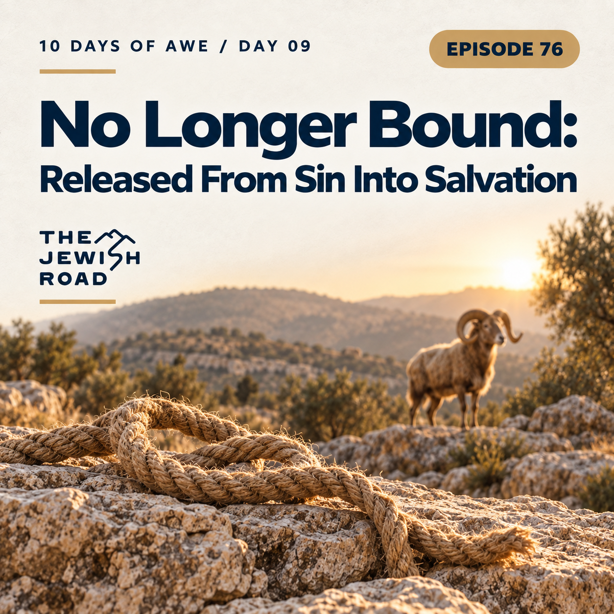 Day 9: No Longer Bound: Released From Sin Into Salvation