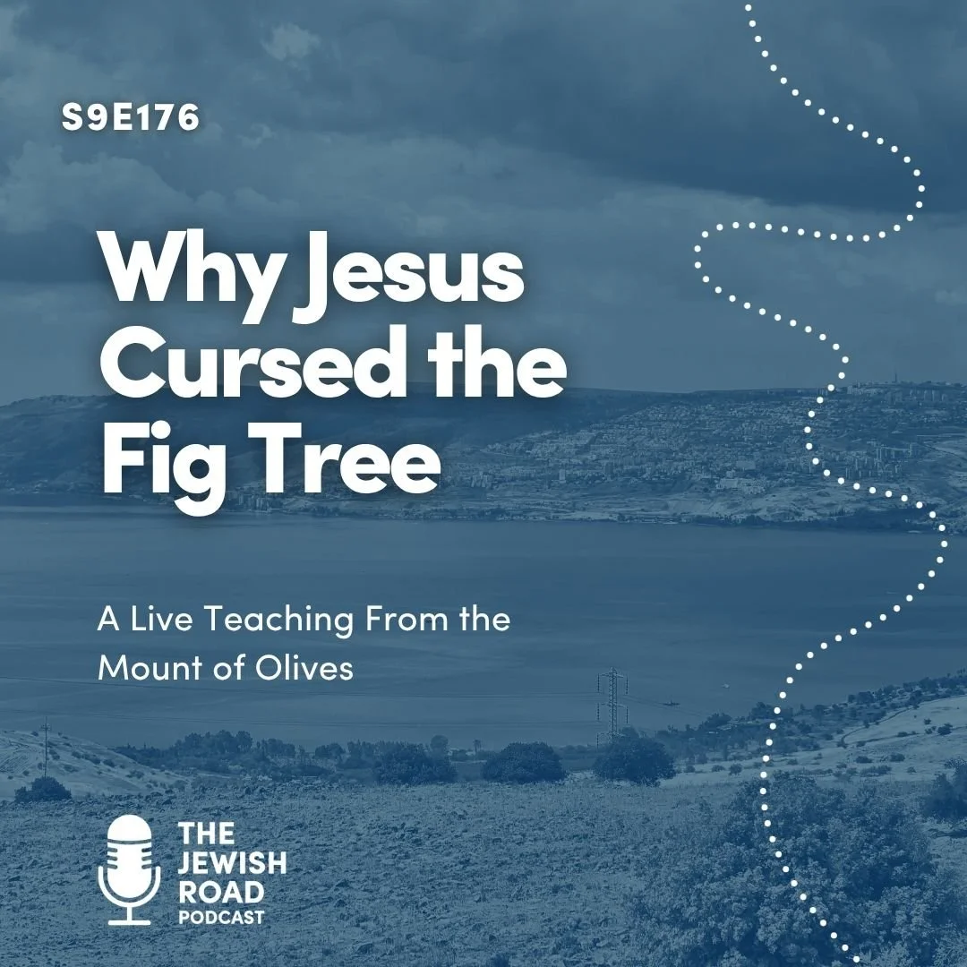 Episode 176 - Why Jesus Cursed the Fig Tree