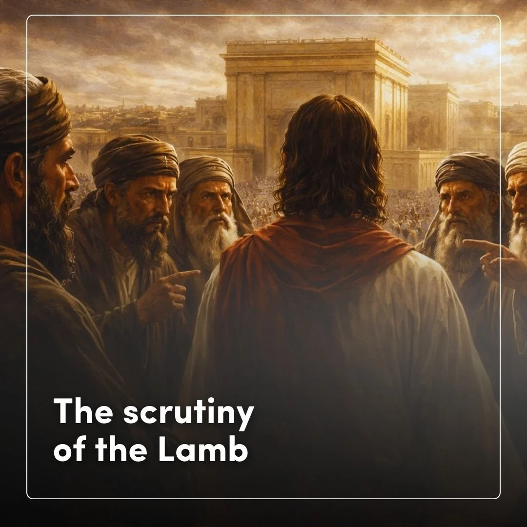 The scrutiny of the Lamb