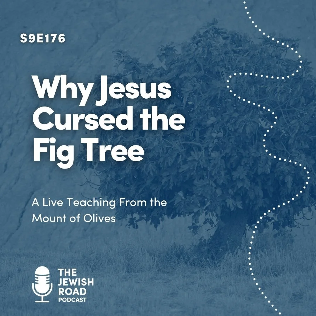 Episode 176 - Why Jesus Cursed the Fig Tree