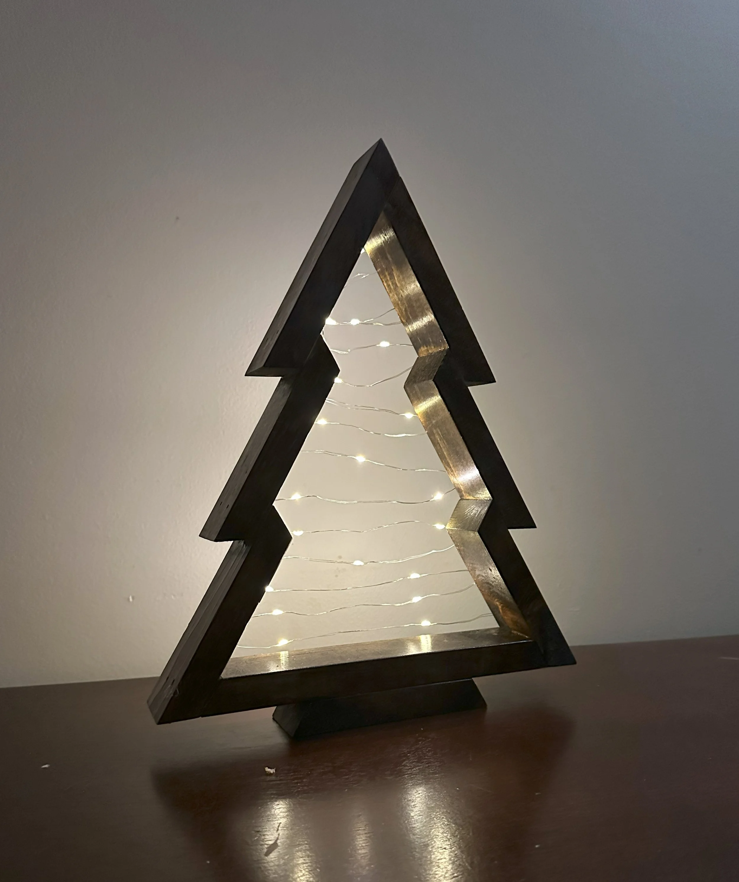 1778 Christmas Tree w Fairy Lights.jpg