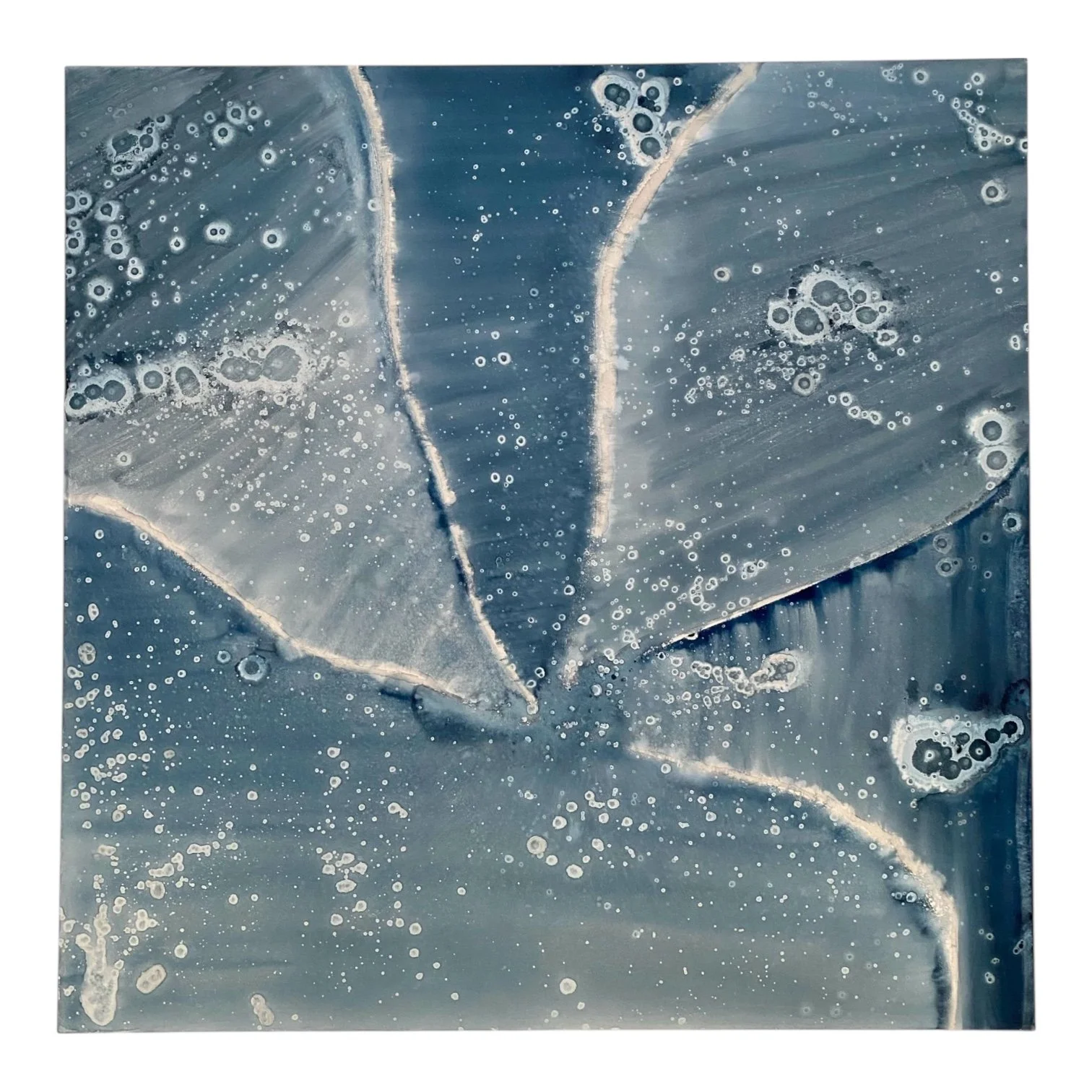 Tide Pools - 40 x 40