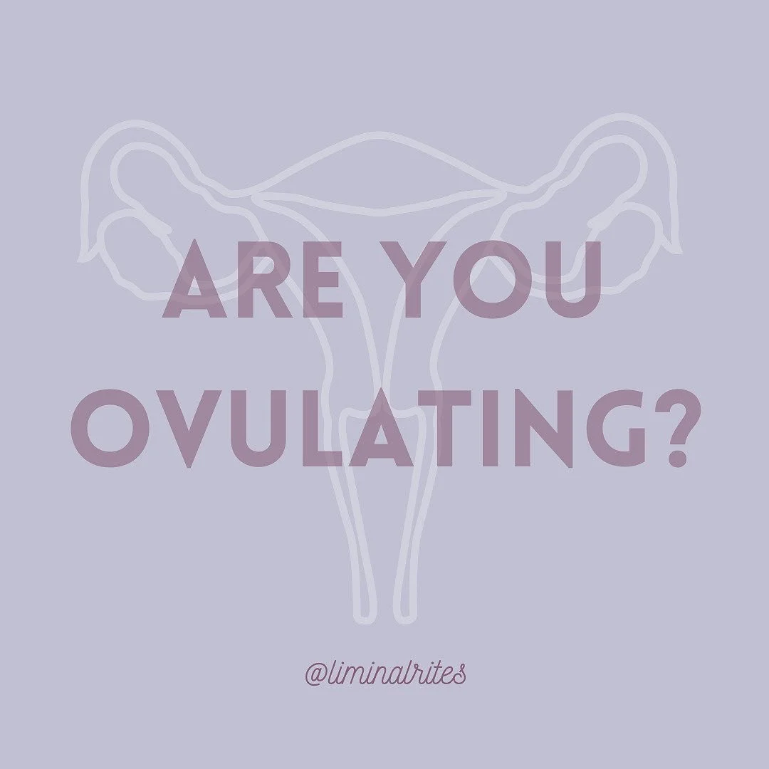 Did you know that a regular monthly bleed is not necessarily an indication of ovulation on its own?

While the length and quality of your cyclical bleed is an important biomarker for determining hormonal health, tracking additional biomarkers is esse