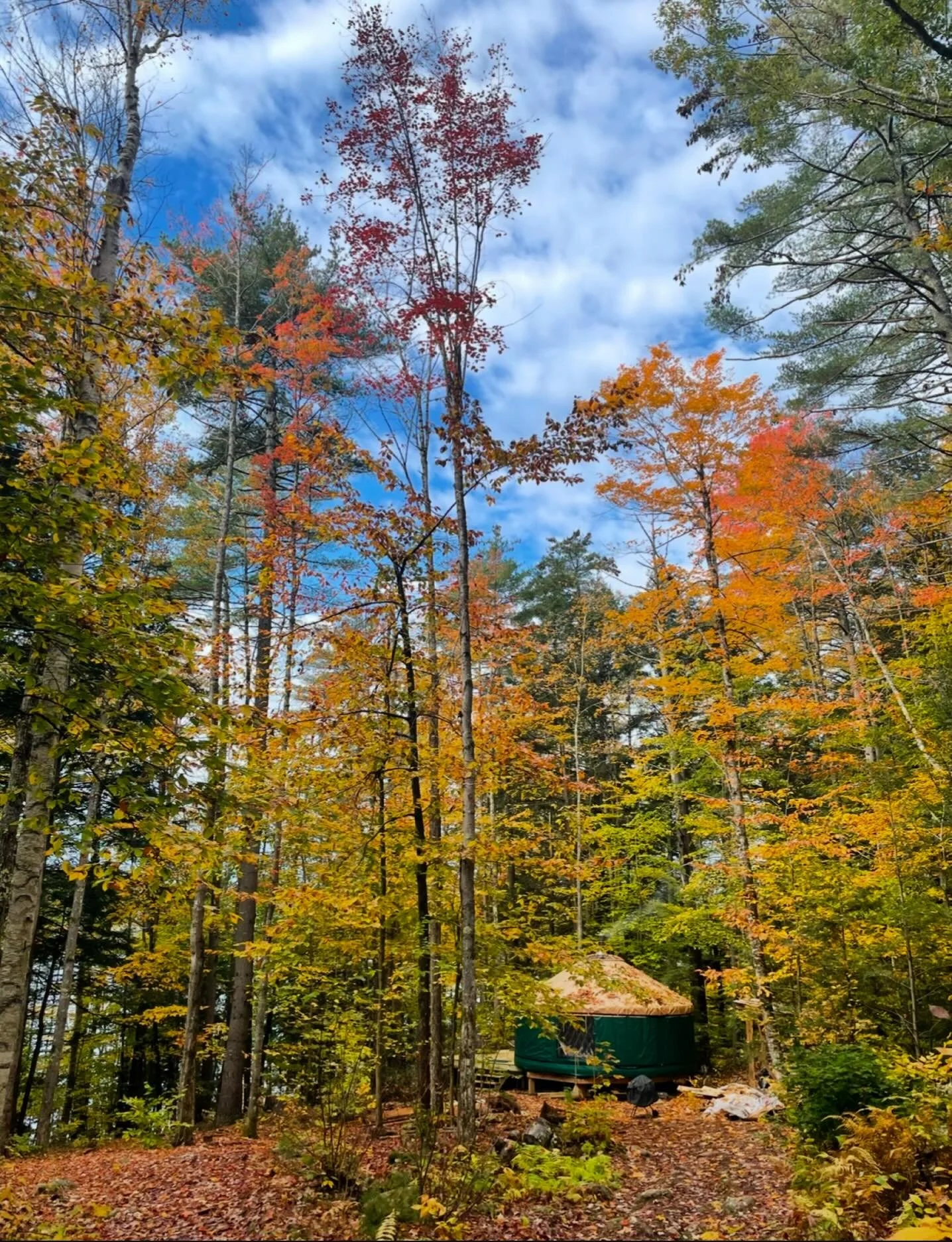 On morning walks down the driveway with my dog beast, I celebrate each leaf that falls on the dirt path before my feet. I&rsquo;m grateful for another transition, for a structured pause, the opportunity to reflect on what&rsquo;s grown in the season 