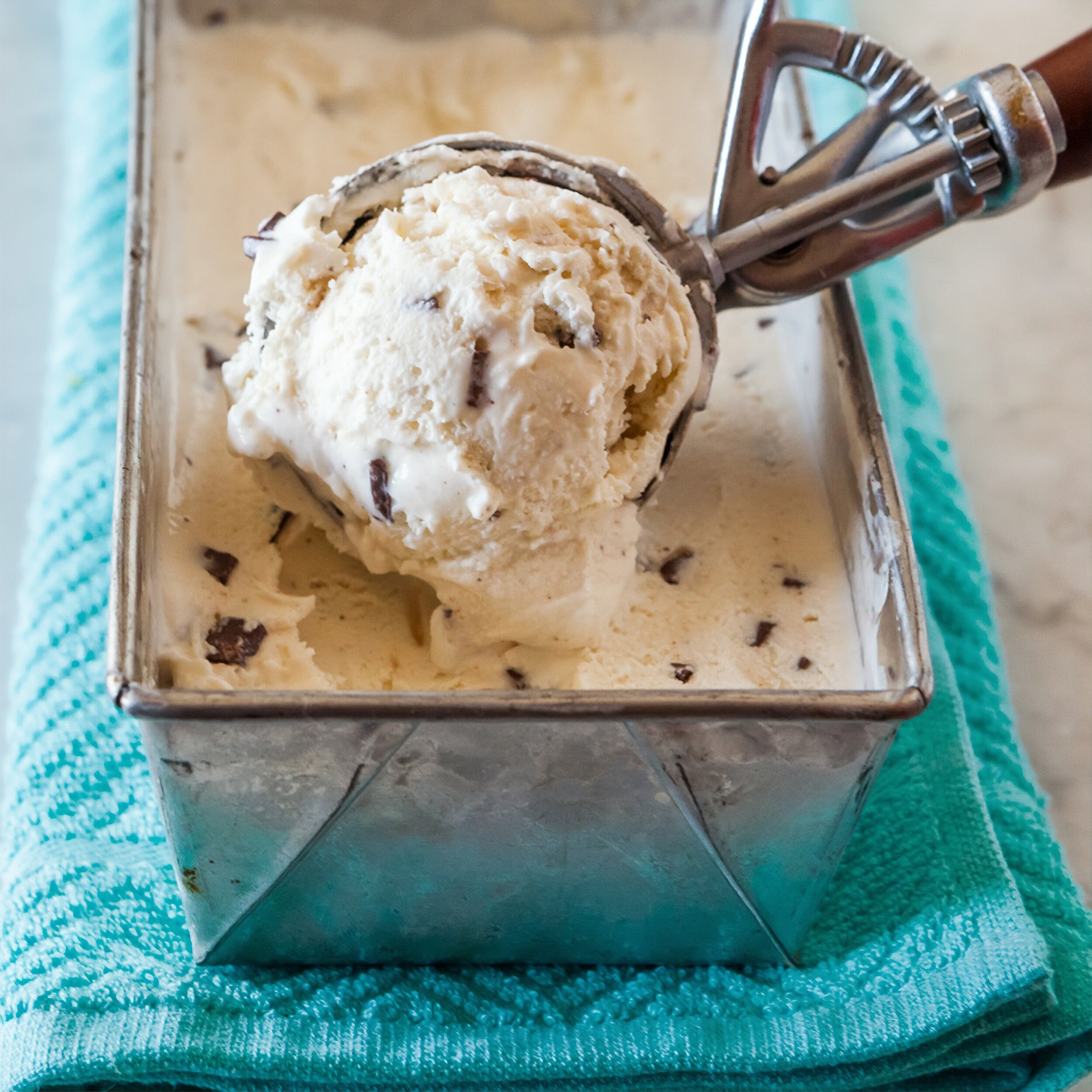 Mint Chocolate Chip Ice Cream