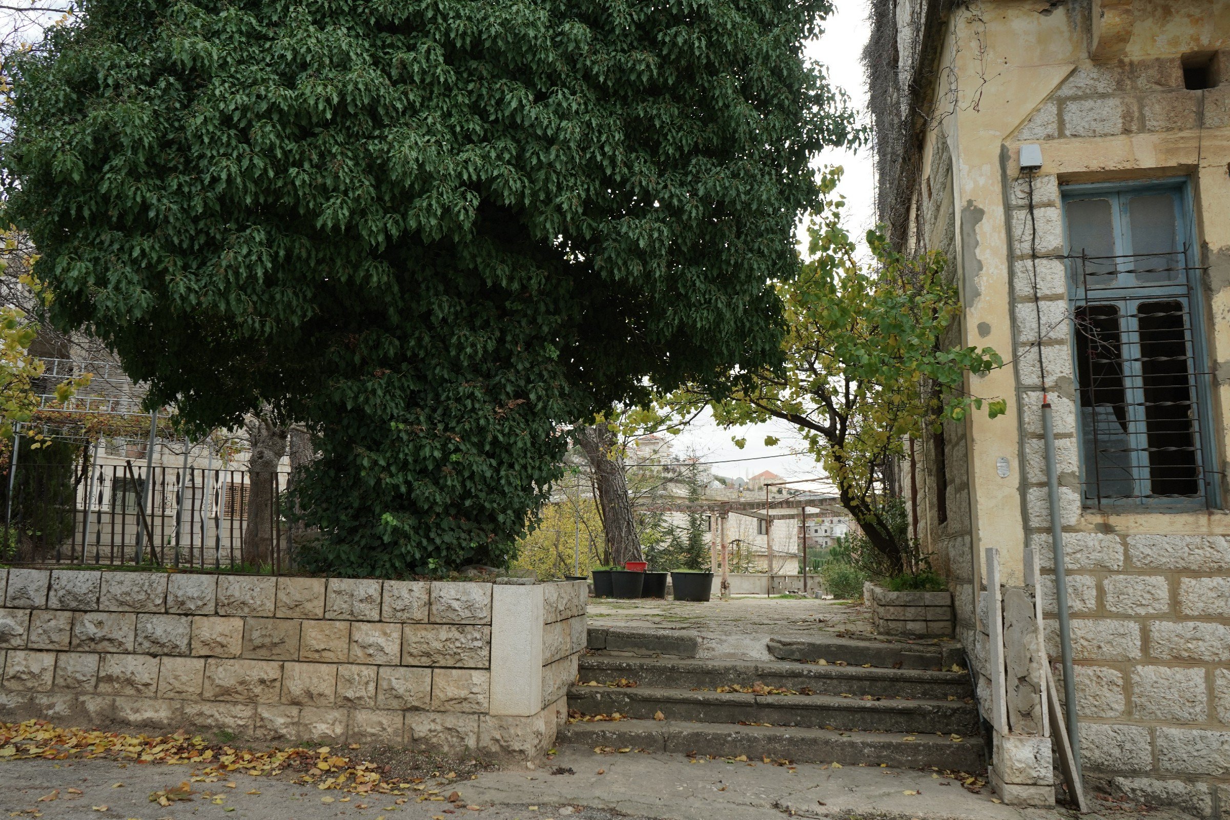 FormatFactoryDSC05477.jpg