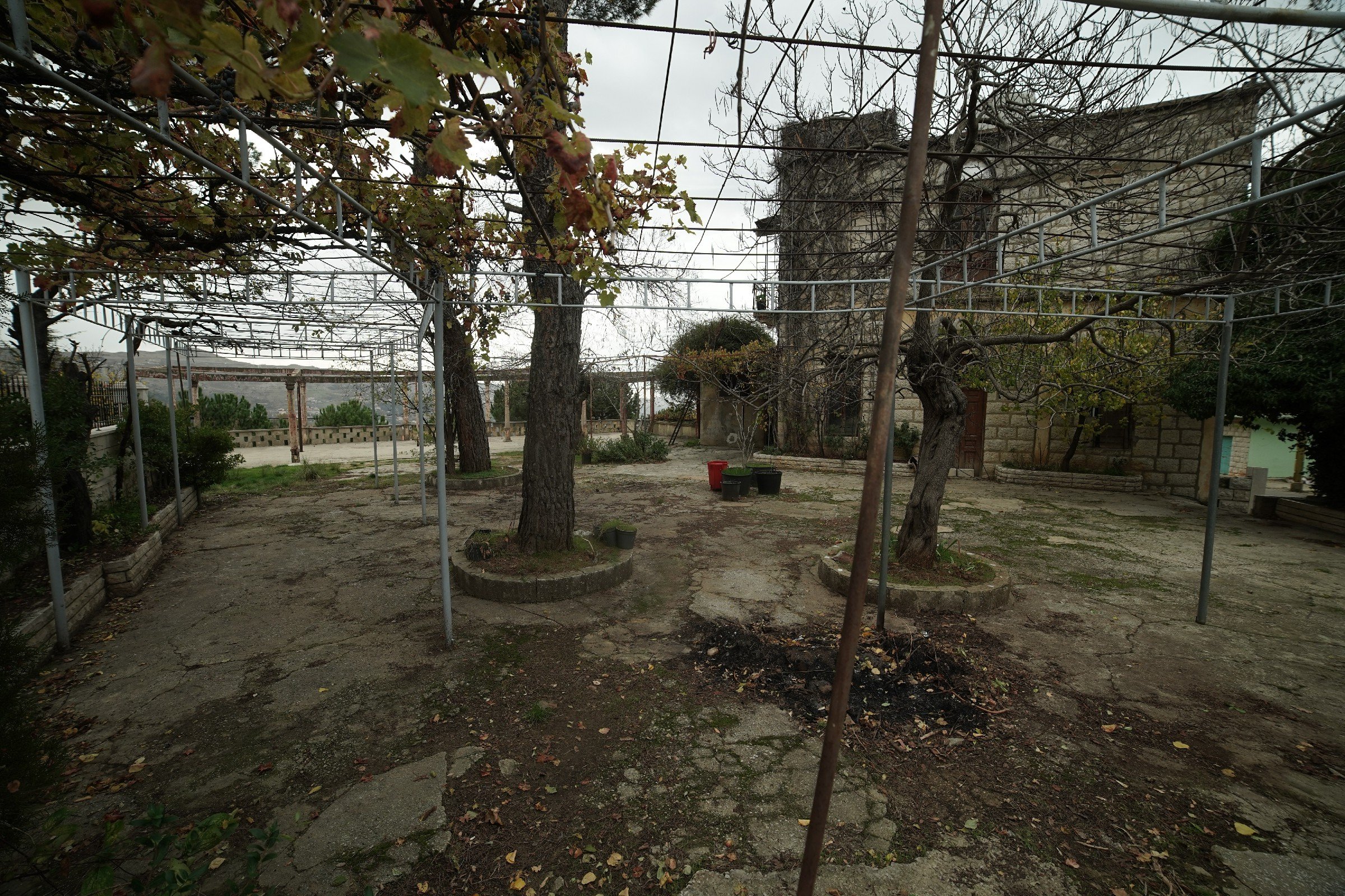 FormatFactoryDSC05692.jpg