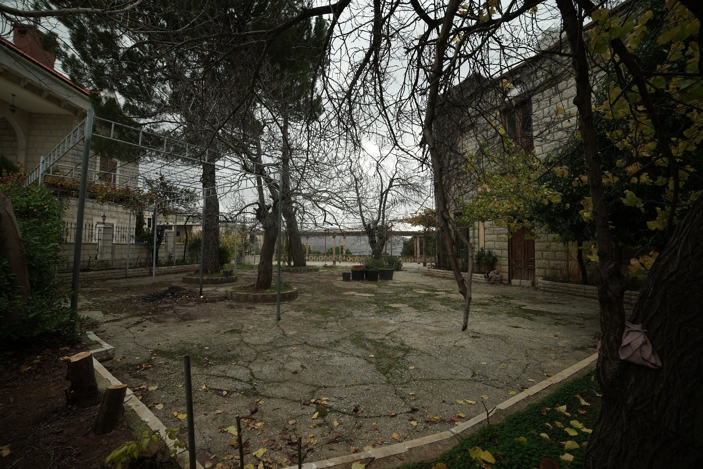 FormatFactoryDSC05689.jpg