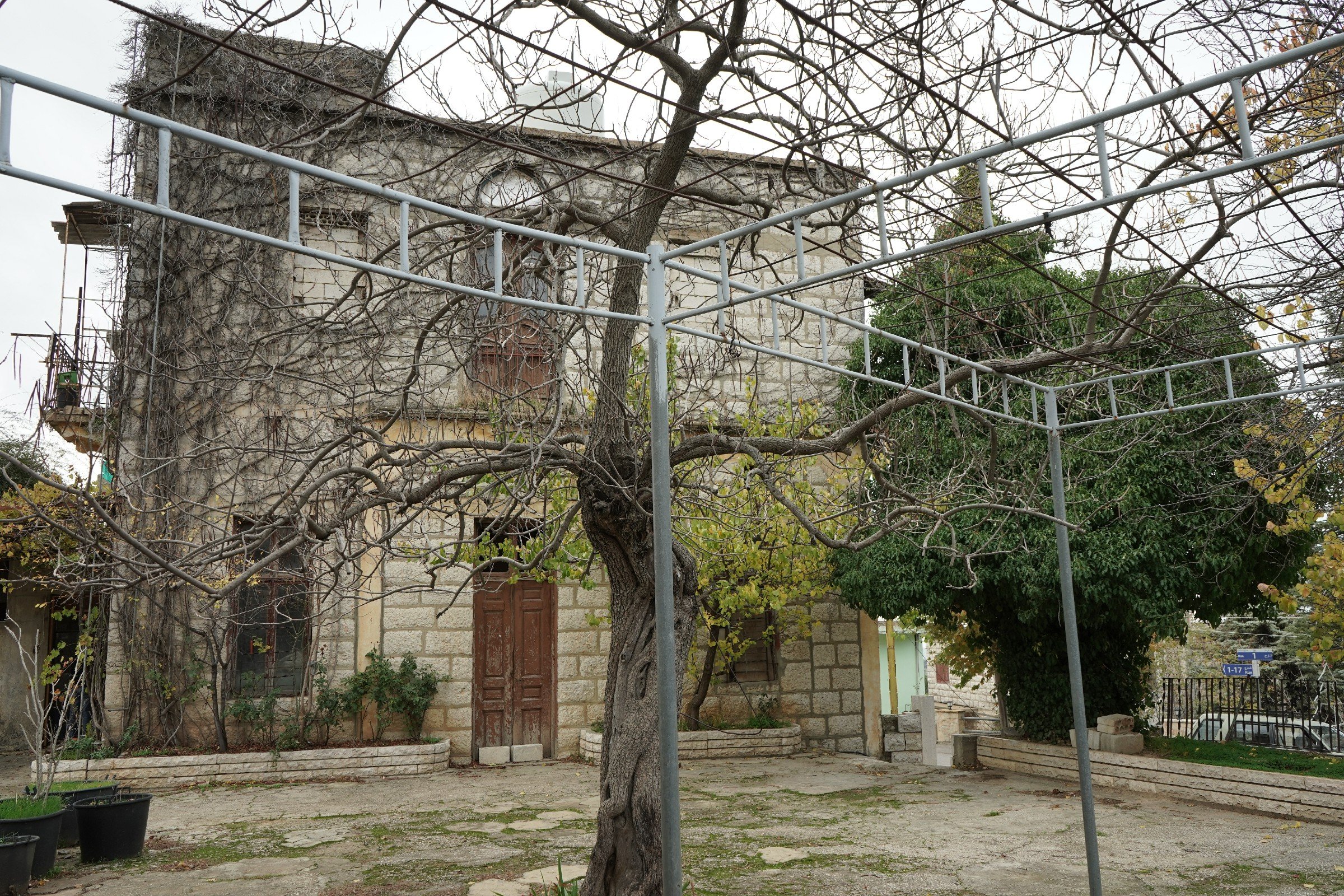 FormatFactoryDSC05493.jpg