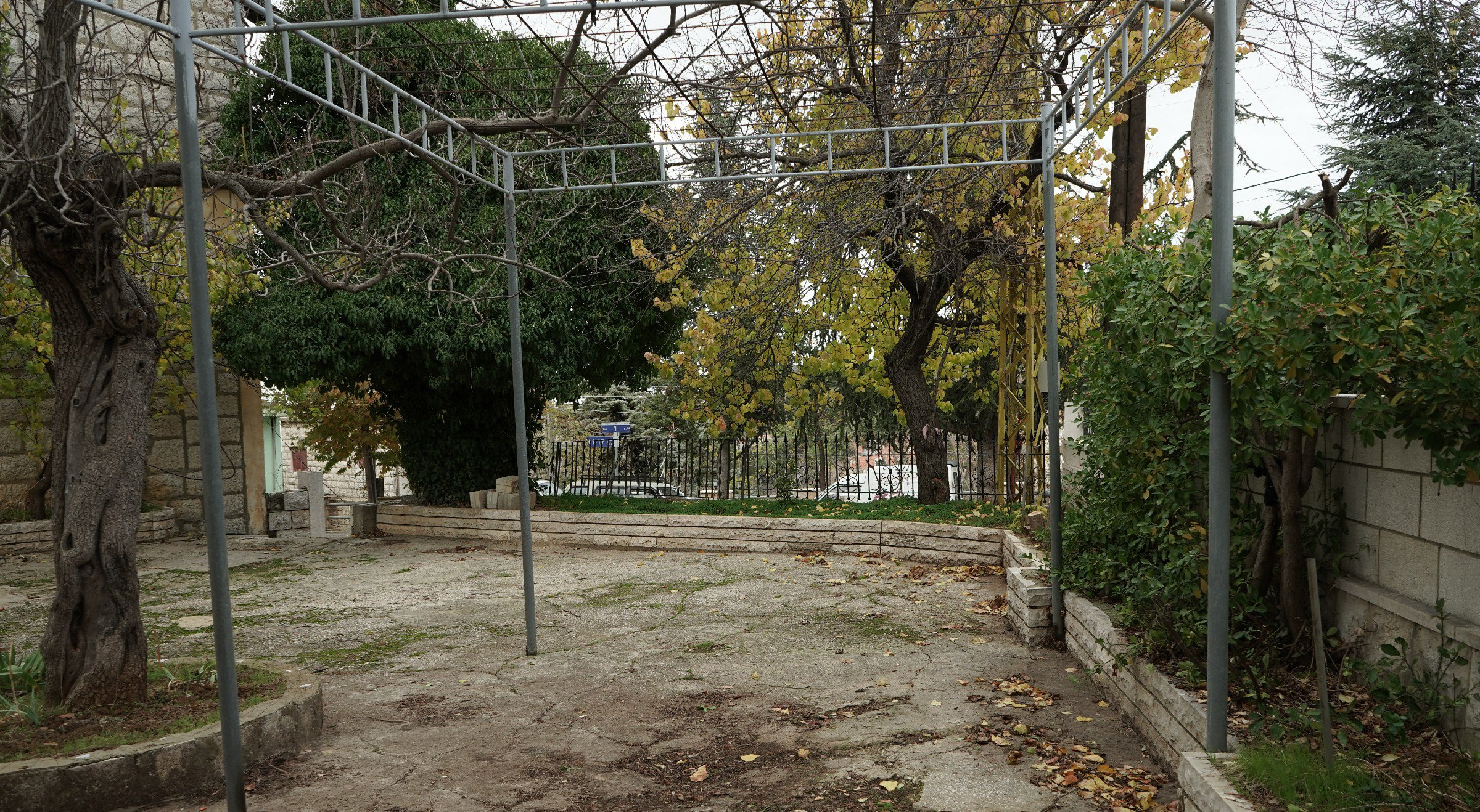 FormatFactoryDSC05492.jpg