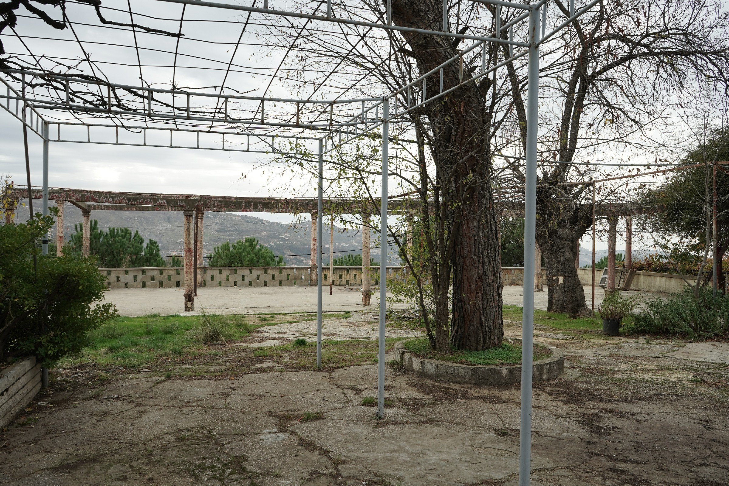 FormatFactoryDSC05498.jpg