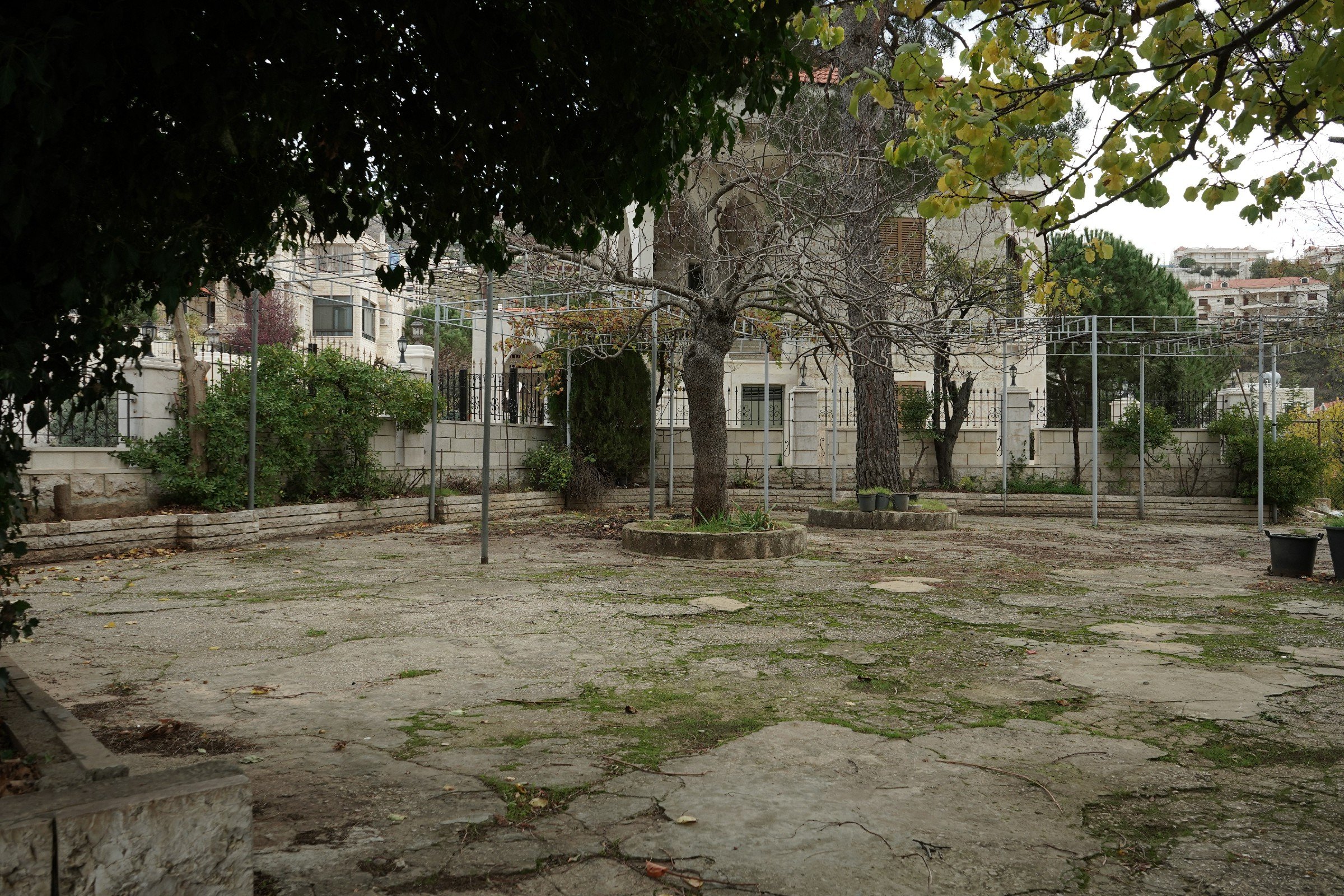 FormatFactoryDSC05478.jpg