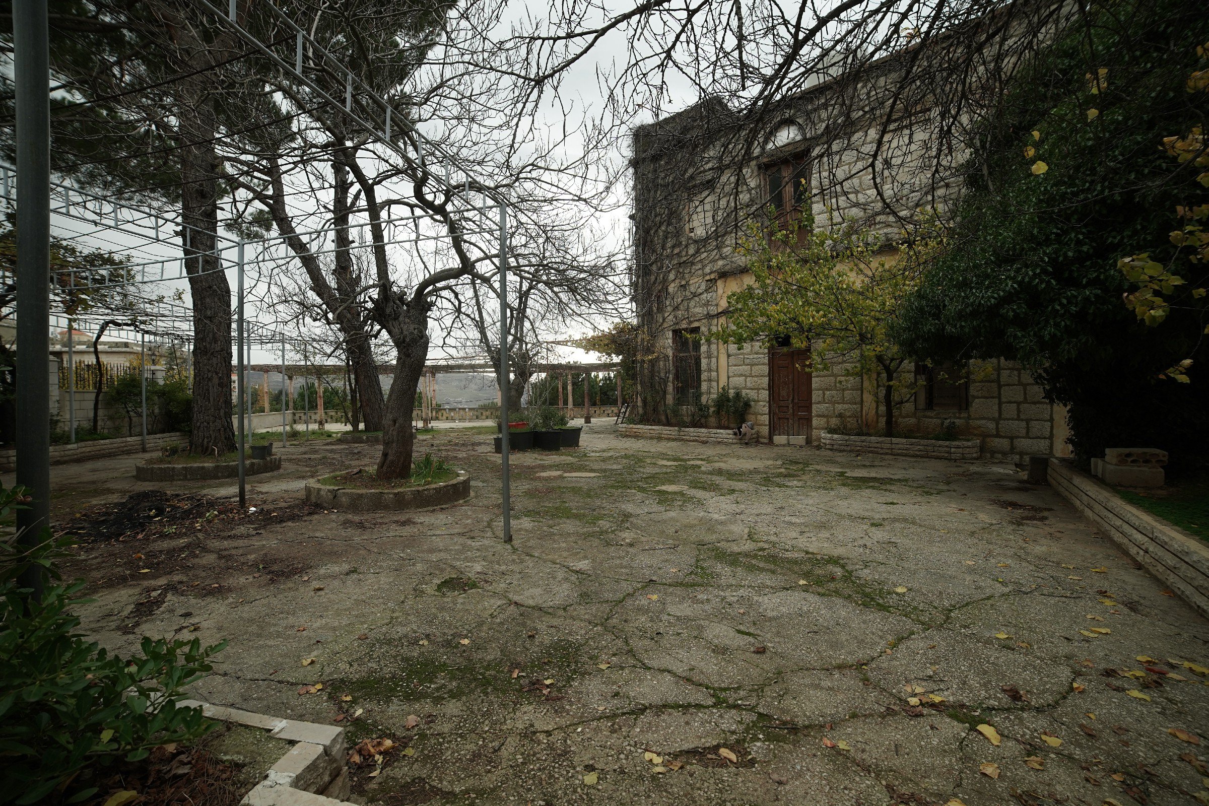 FormatFactoryDSC05691.jpg