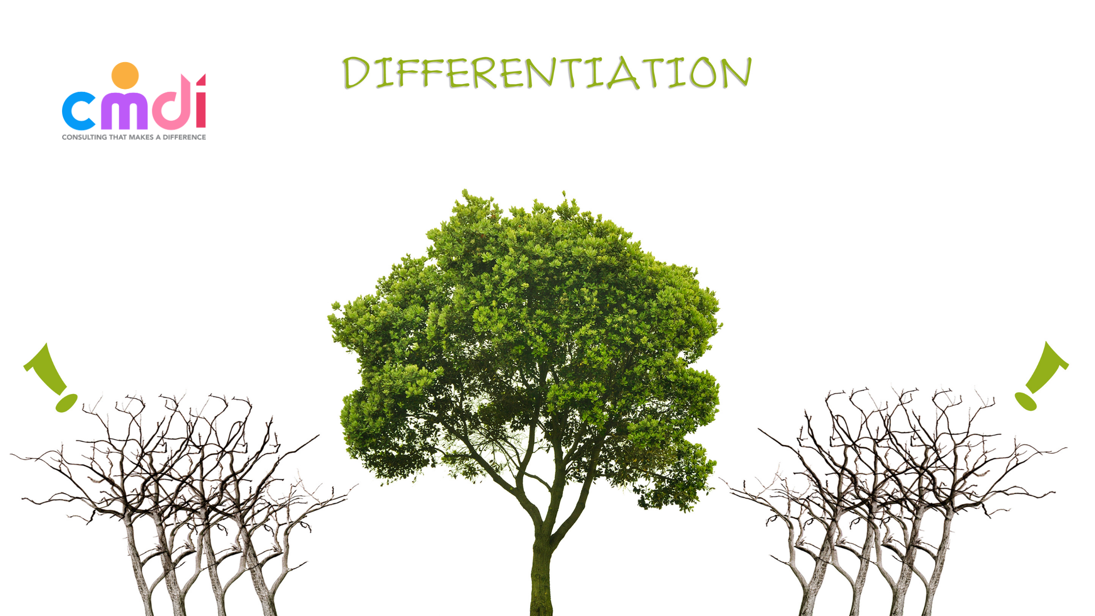 Getting Started with Differentiation