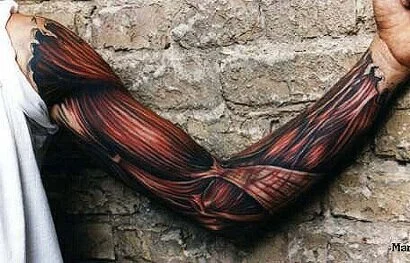 Wearing Your Anatomy on Your Skin: the Anatomy Tattoo Gallery