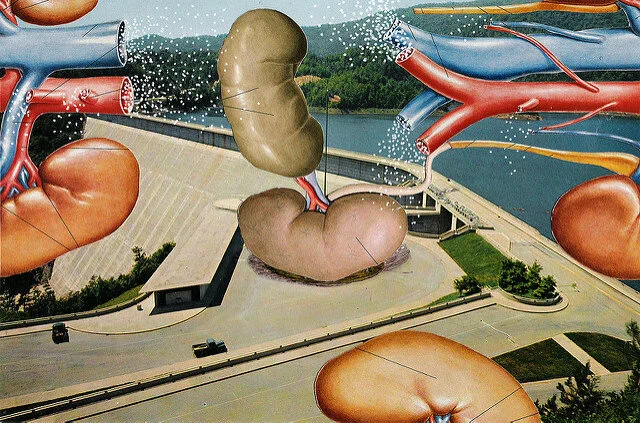 Interlude: Medical Visual