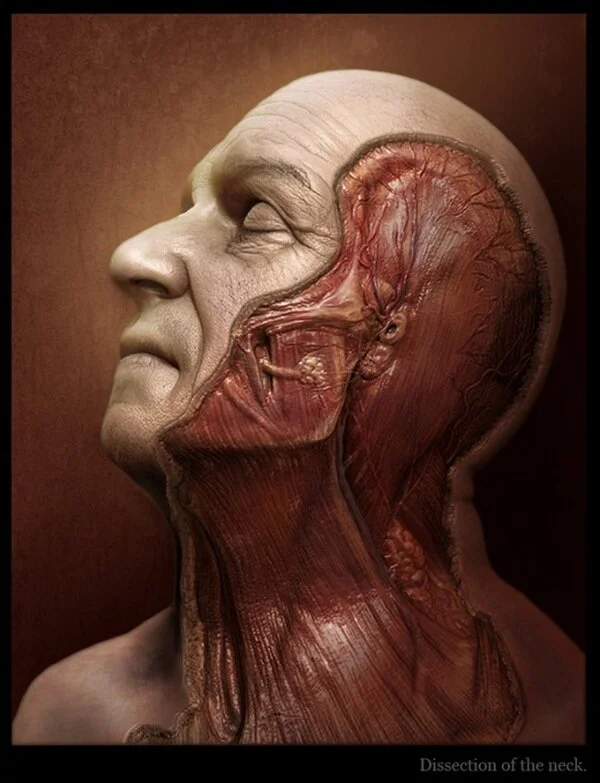 Spotlight: Tsvetomir Georgiev