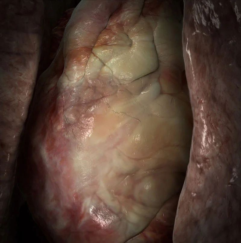 Digital Art, Photo, or 3D Illustration: can you tell the difference?