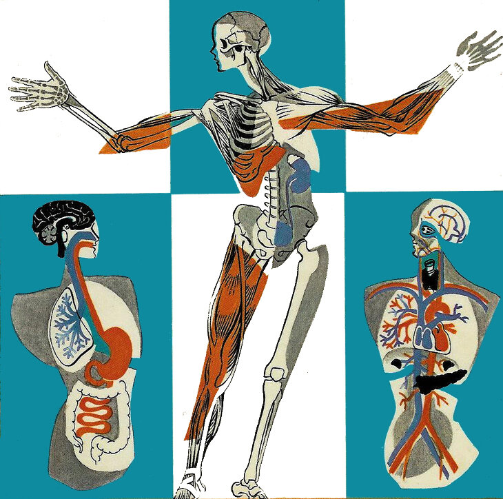 Street Anatomy: the First Anniversary!