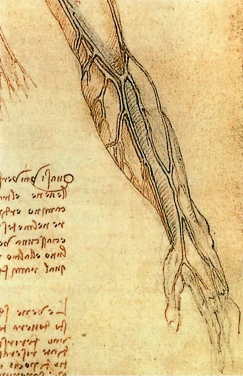 Veins of Water: Maps and the Anatomy of Da Vinci