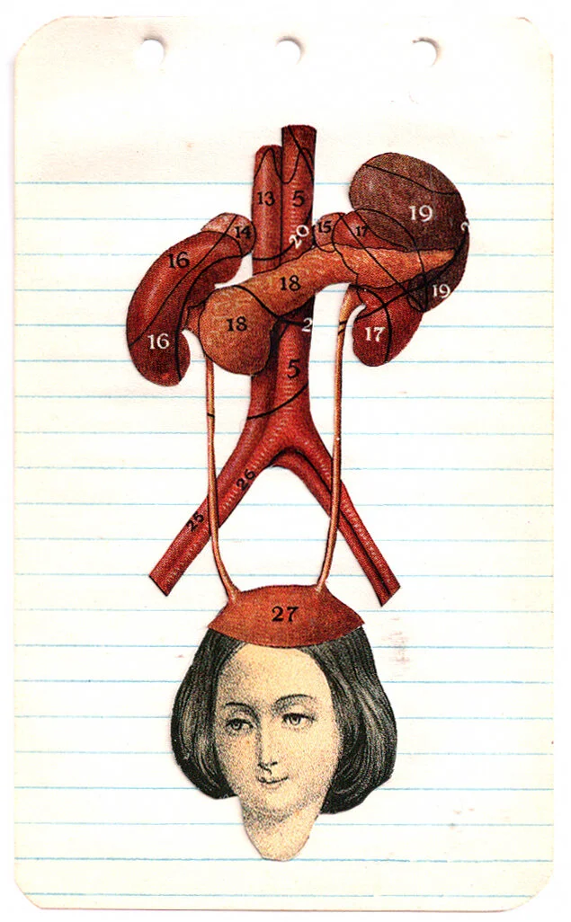 Bladder Hats and Ovary Heads