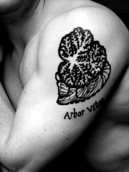 Arbor Vitae: Cerebellum Tattoo