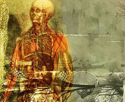 Vision Anatomica