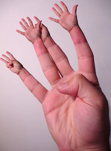 How do you Count 365 on One Hand?