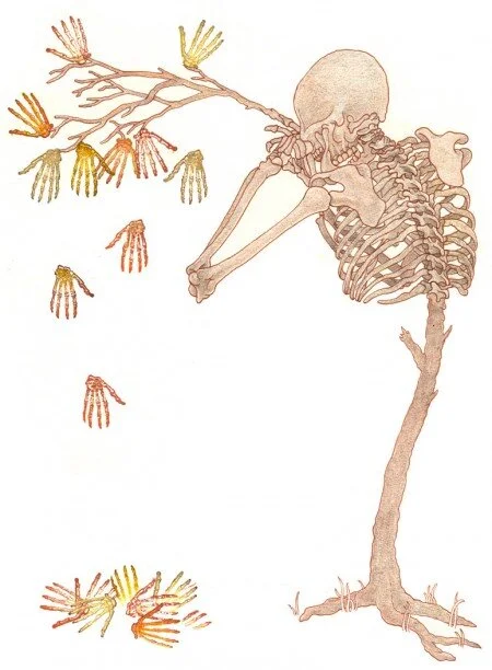 Turning into Skeleton Trees