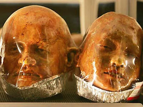 Body Bakery