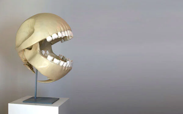 Pac Man's Skull Exposed