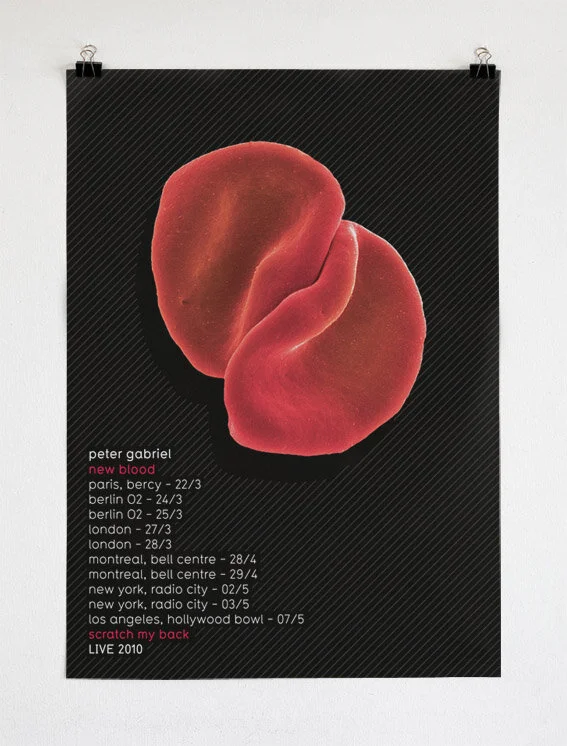 Mark Bessant Peter Gabriel Scratch My Back