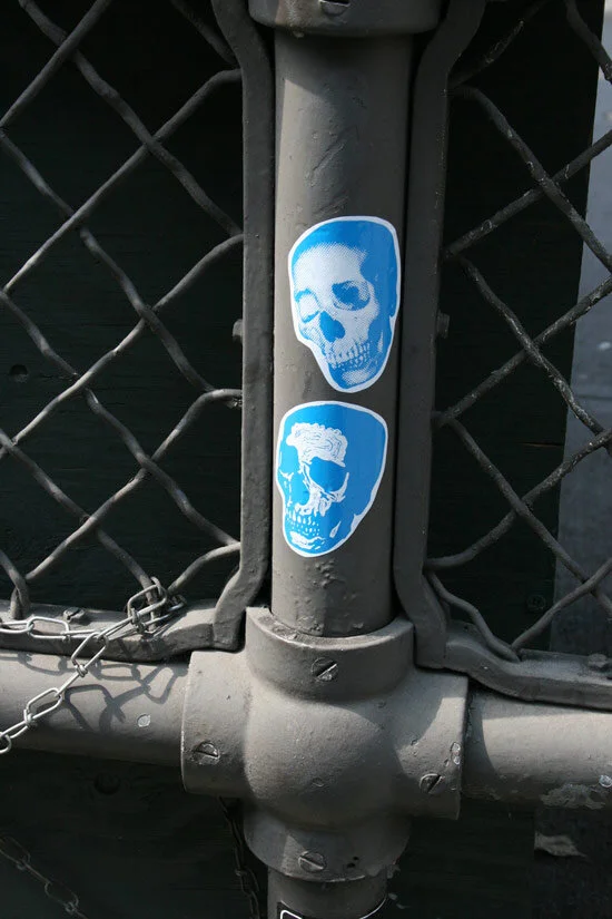 Rx blue skulls slaps