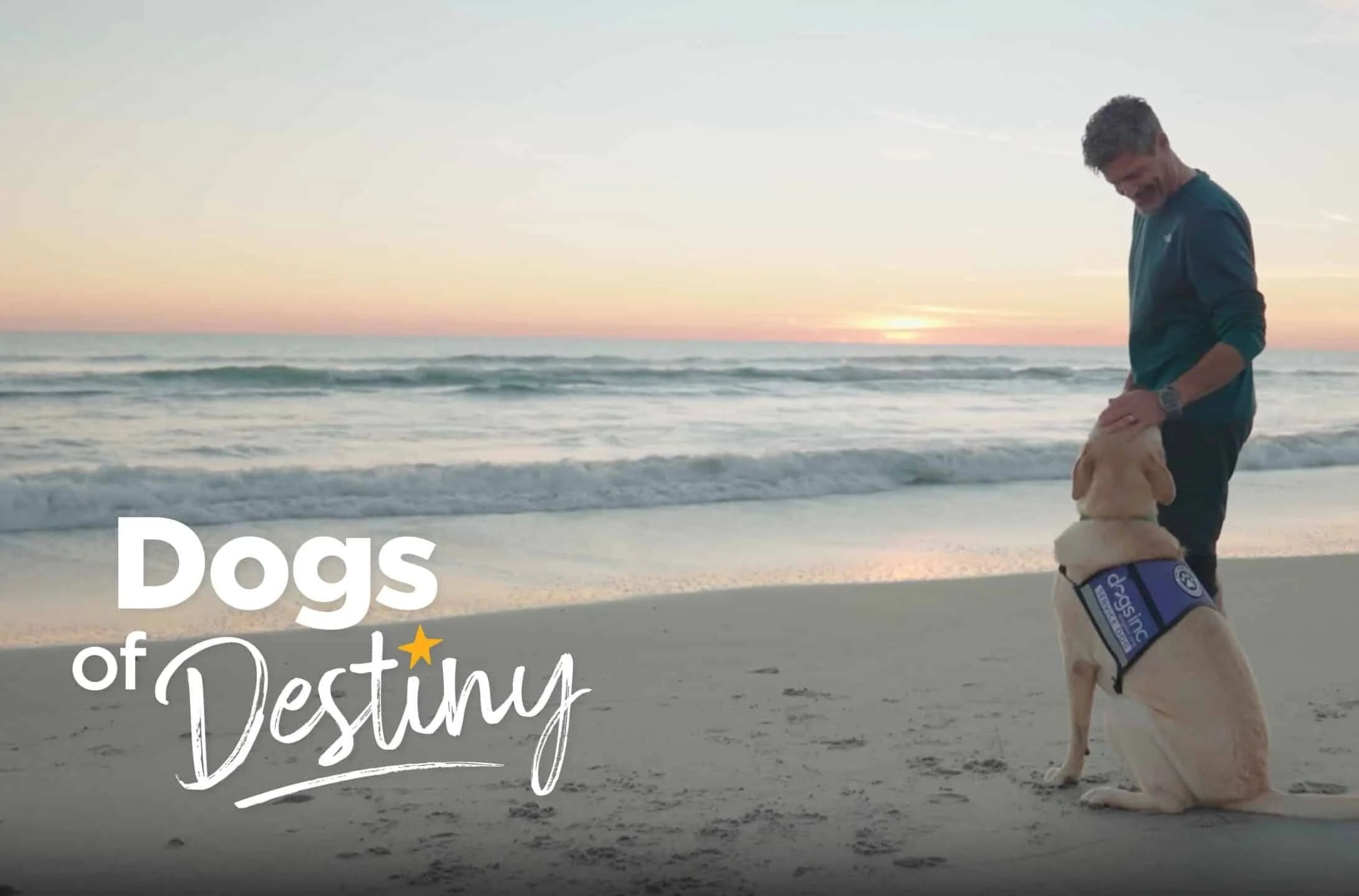 Image of legendary SOF pilot John Alvarez and his service dog, yellow Labrador retriever named Randall on the beach featured in Dogs Inc Between Sky and Sea video