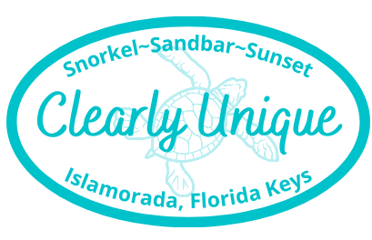Clearly Unique Snorkel &amp; Sandbar Tours