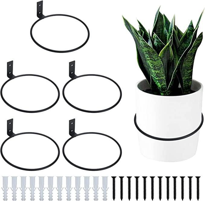 wall mount ring planter holders.jpg