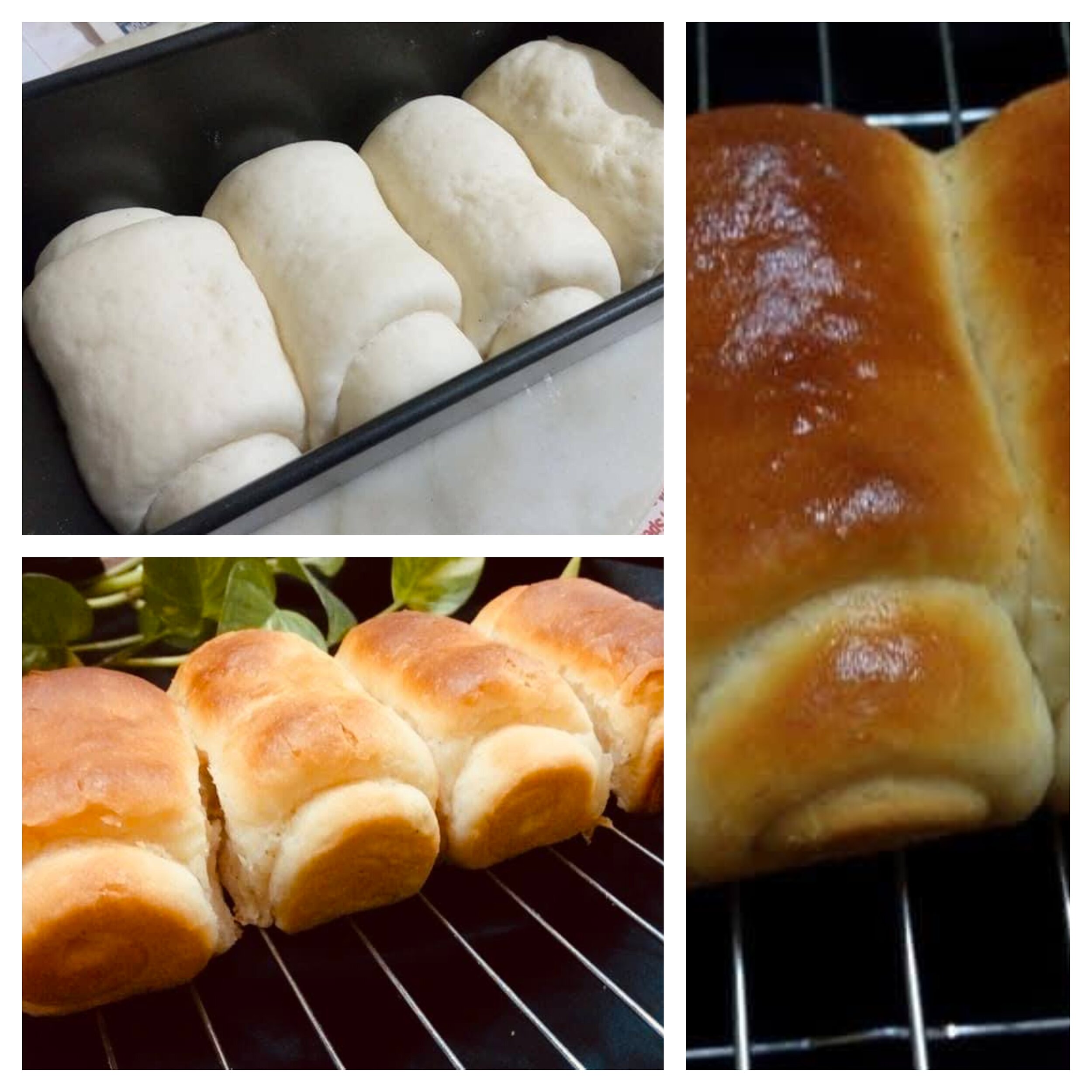 Soft milk bread rolls