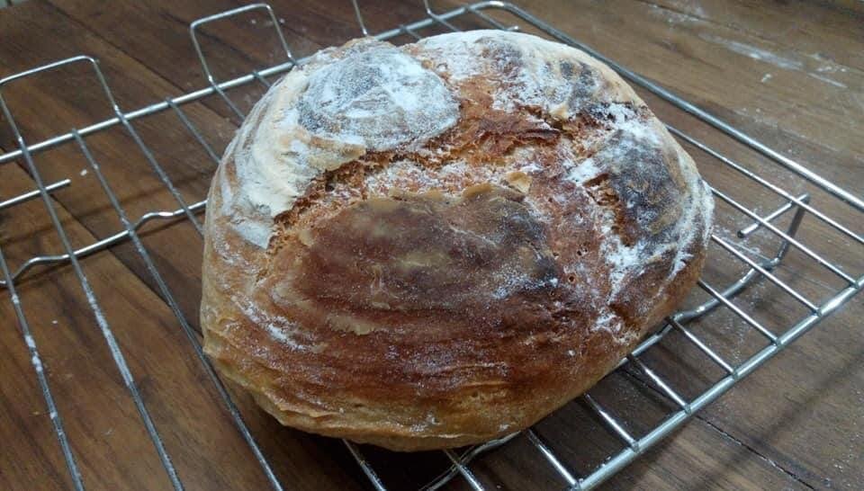 No knead whole wheat artisan bread
