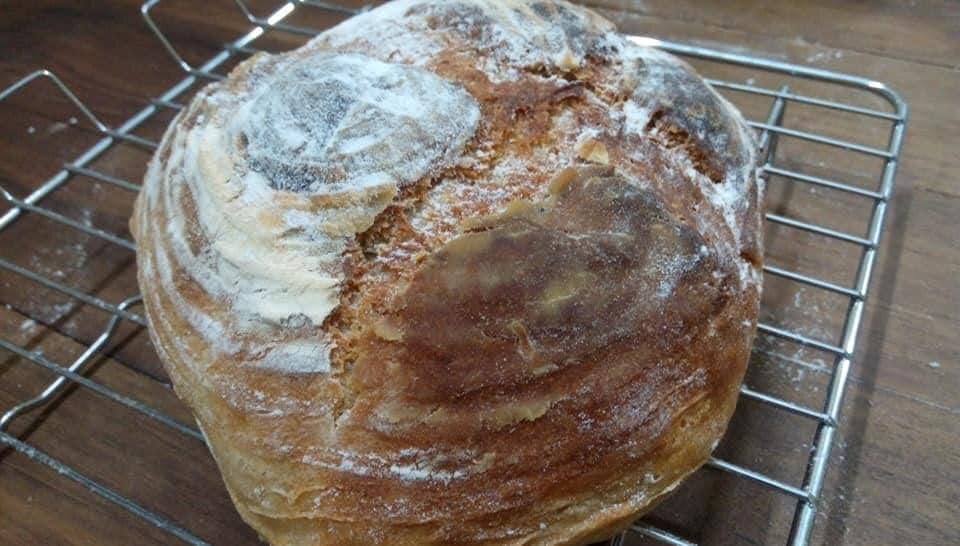 No knead whole wheat artisan bread