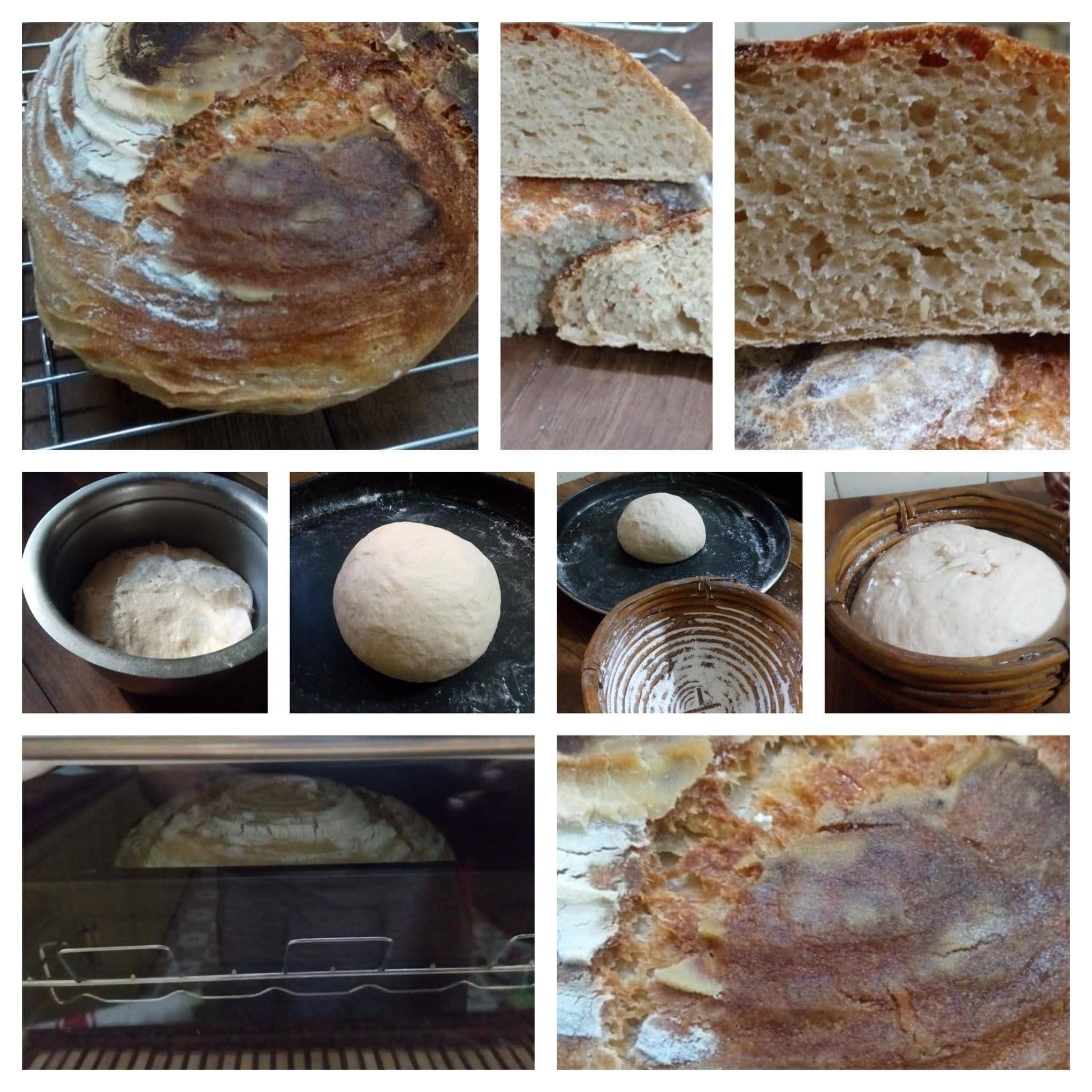 No knead whole wheat artisan bread