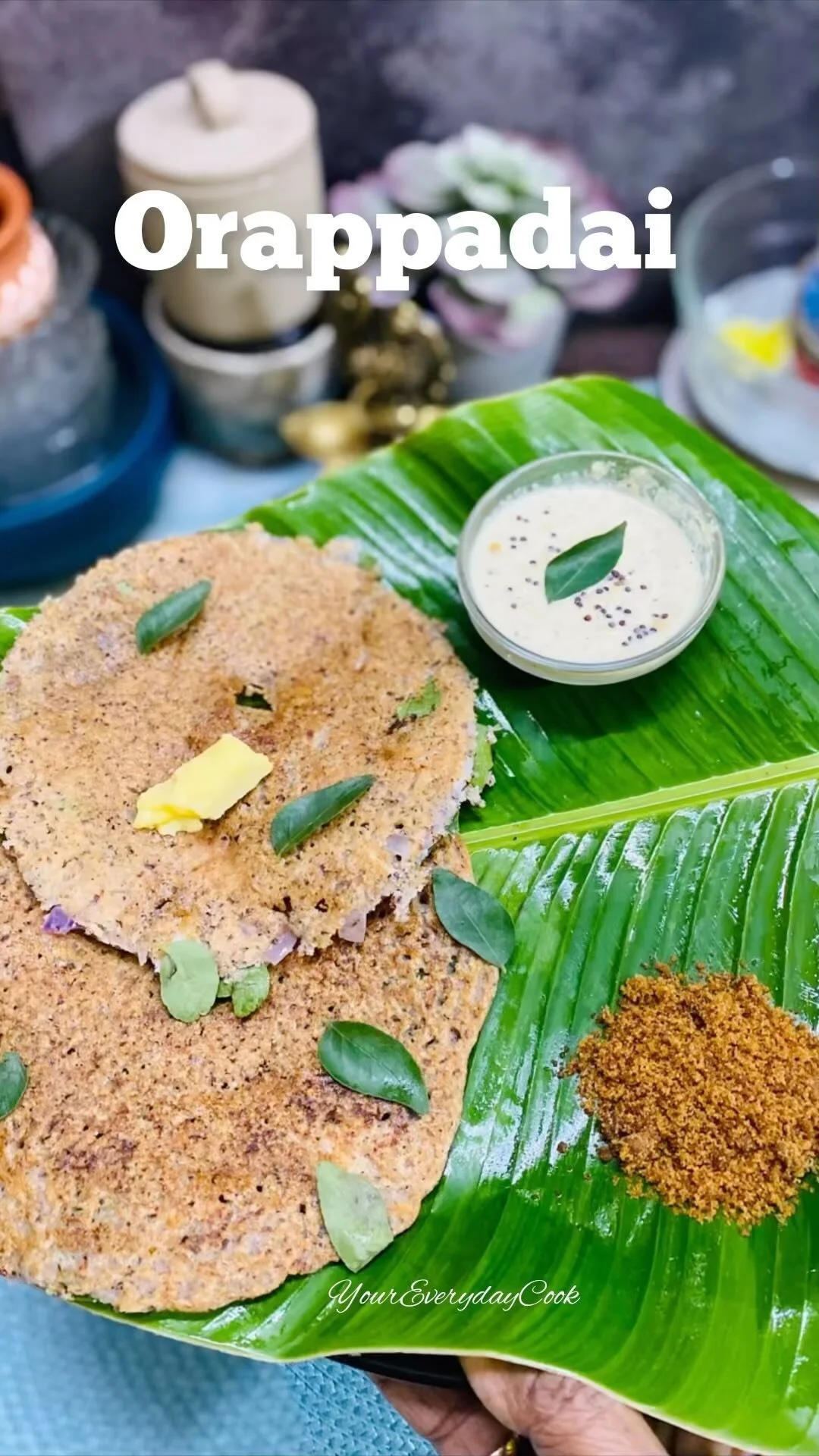 Millet and grain dosa — Your Everyday Cook