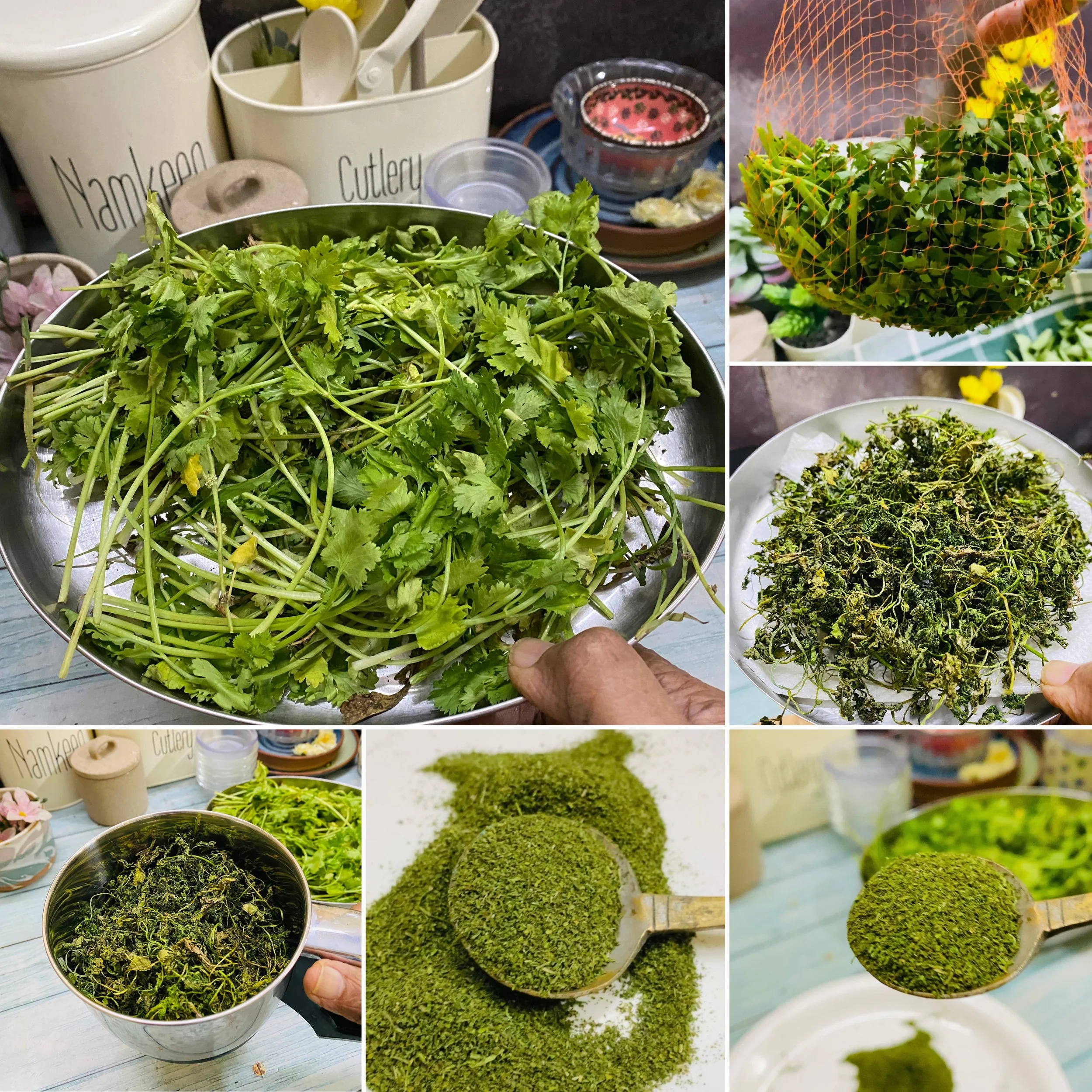 Coriander powder — Your Everyday Cook