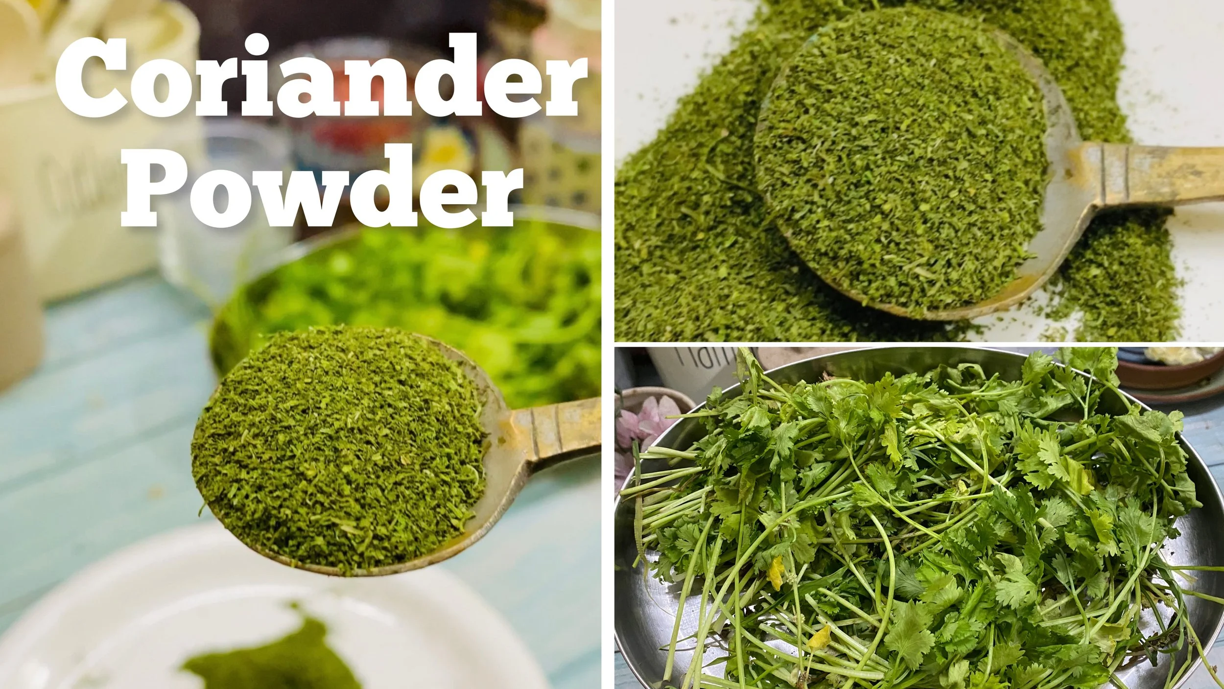 Coriander powder — Your Everyday Cook