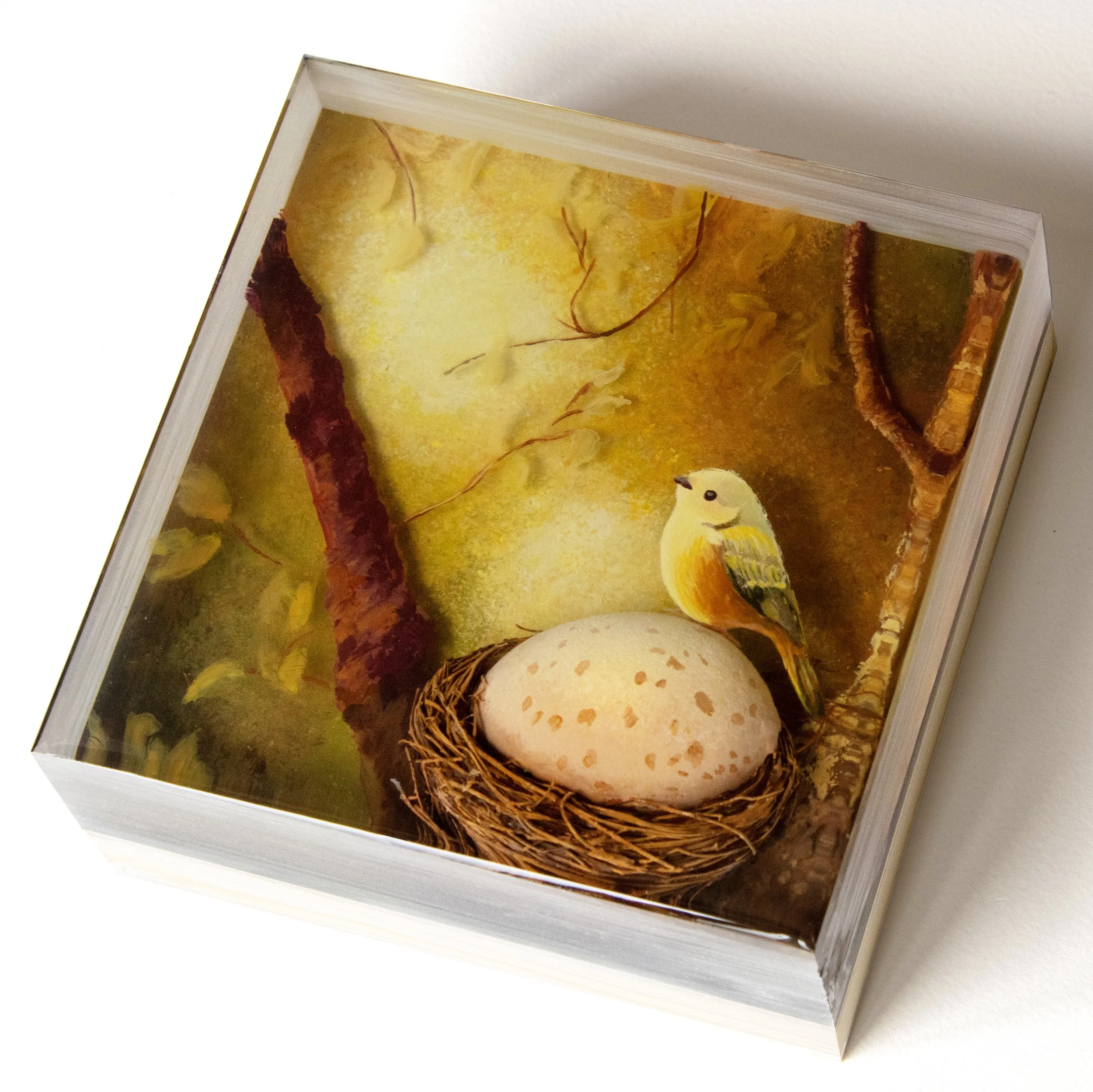 Expecting-side web.jpg