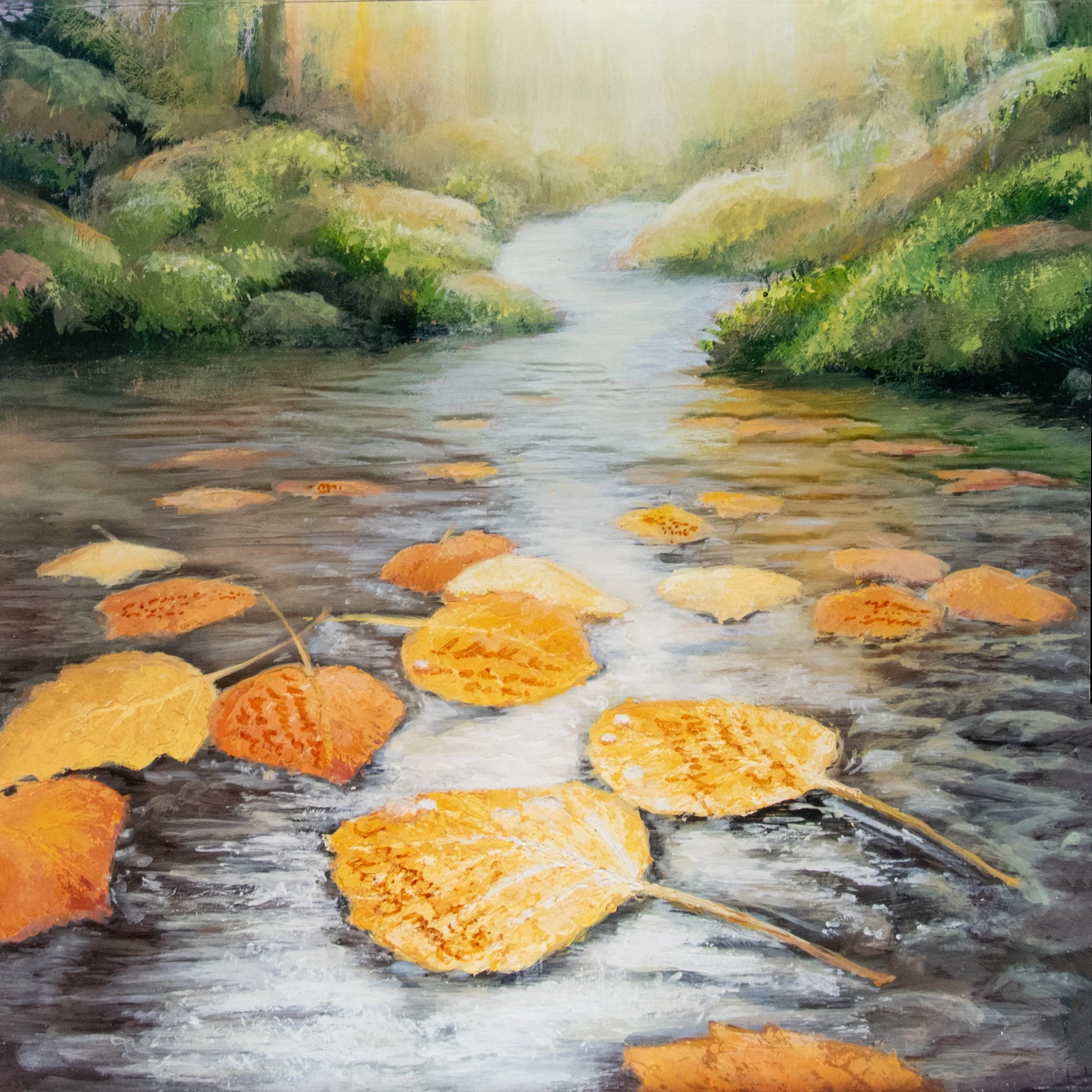 What the Water Carries