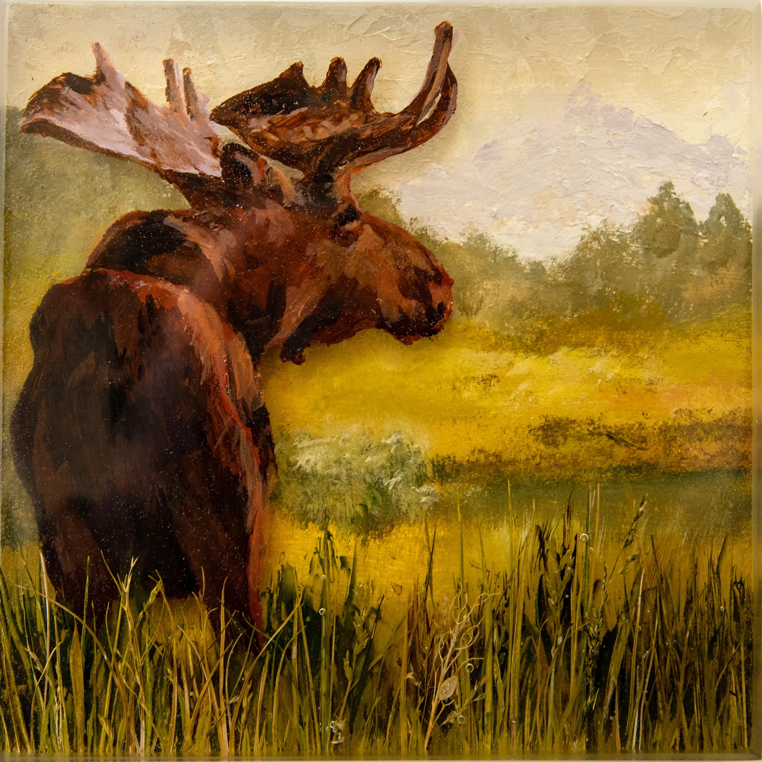 Meandering Moose