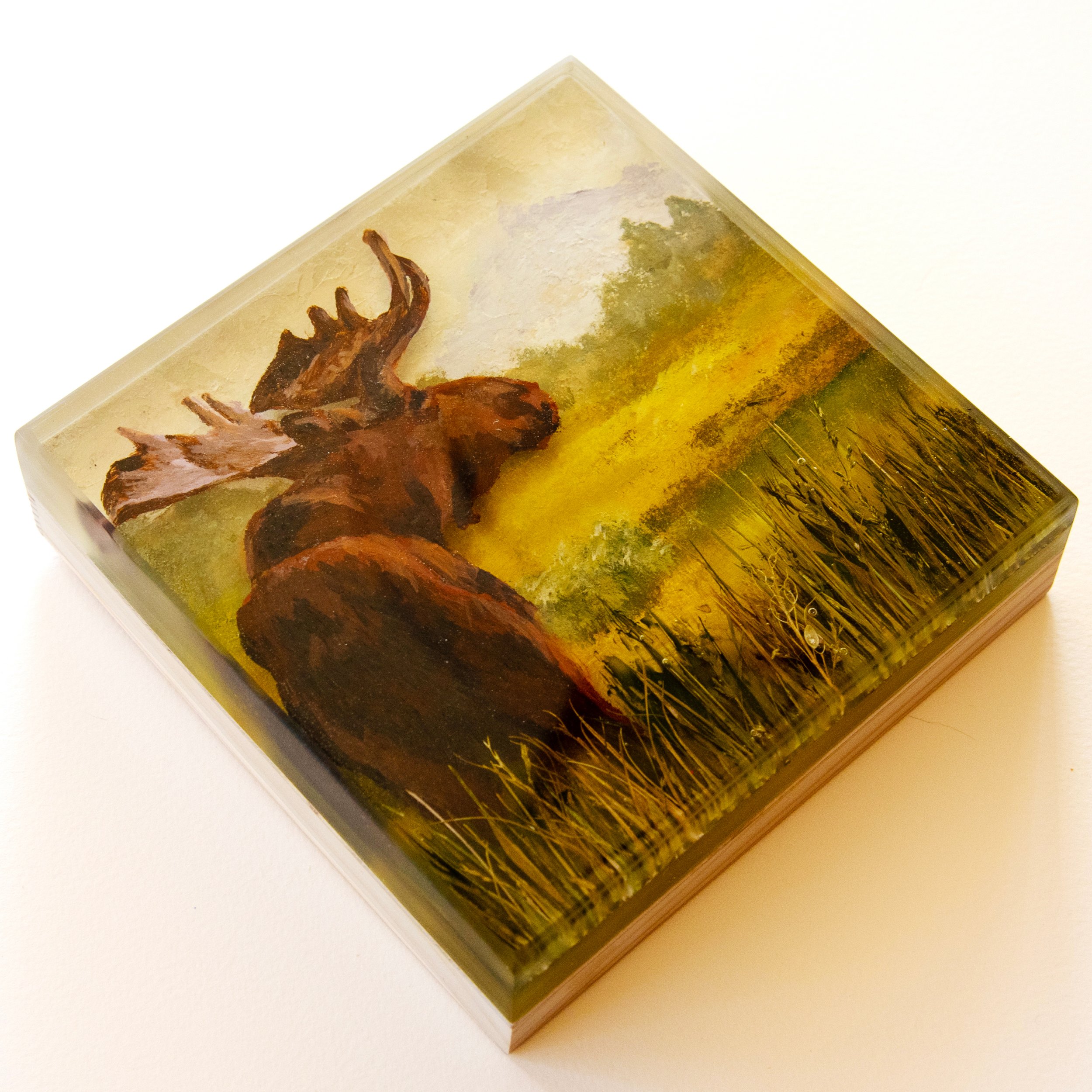 Moose_2.jpg
